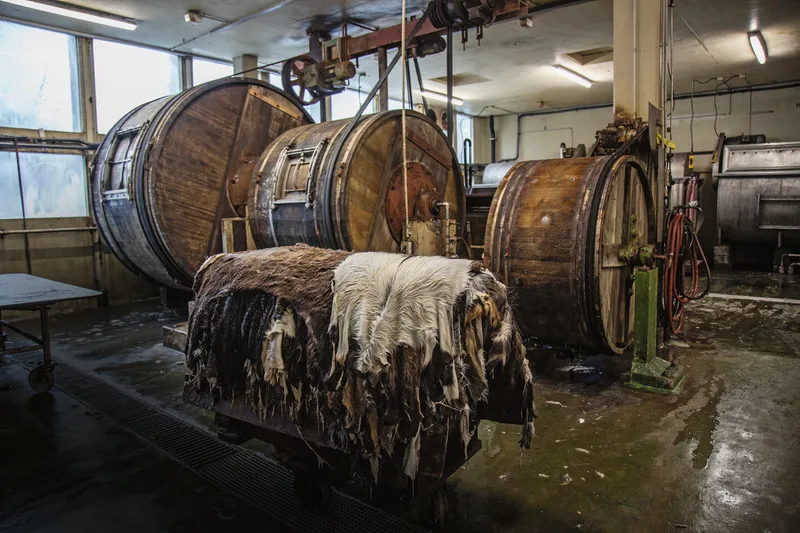 In der Wasserwerkstatt: Die Ziegenfelle tropfen noch.Sie wurden einen Tag langim Holzfass gegerbt. Bild: Pia Neuenschwander
