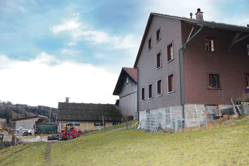 Auf dem Betrieb leben zwölf Limousin-, Angus- und Dexter-Mutterkühe, deren Nachwuchs, zehn Schafe, drei Ziegen, zwanzig Hühner, zwei Hähne und zwei Katzen.