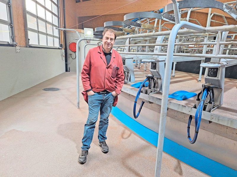 Laut Daniel Menoud sind die Kühe auf dem Karussell nicht gestresst.