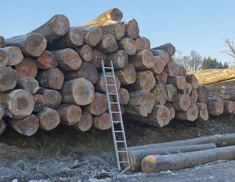 Waldeigentümer sollen ihr Holz nur zu fairen und marktgerechten Preisen verkaufen