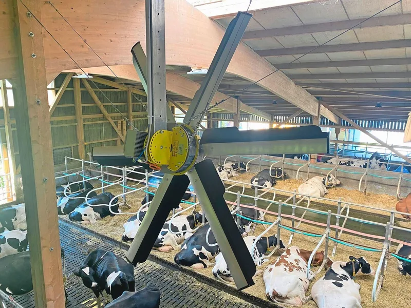 Deckenventilatoren saugen keine Frischluft an, sondern wälzen die bestehende Luft im Stall um.