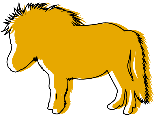 Ponys: Leichtfuttrig und langlebig
