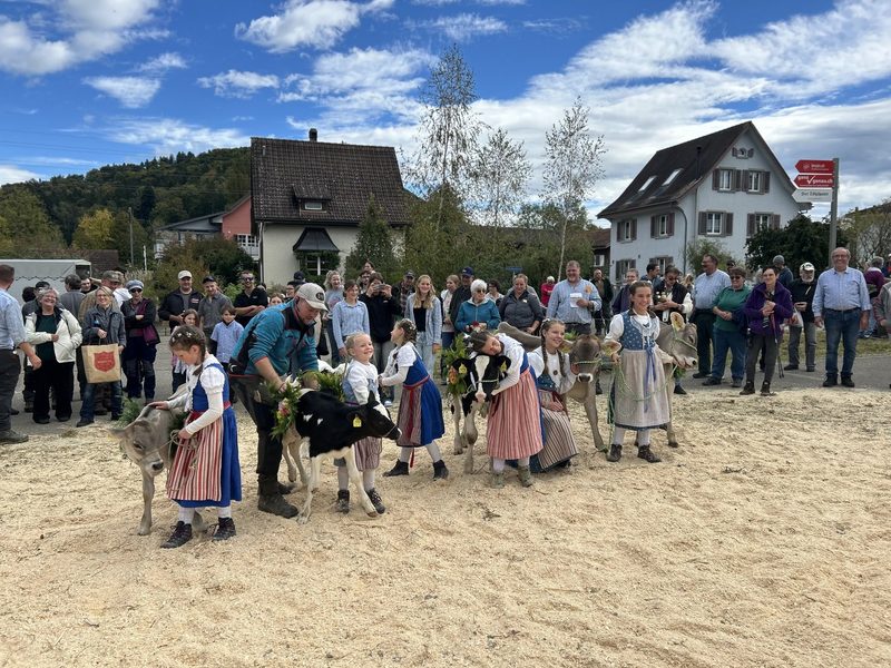 Patchworkfamilie auf dem Bauernhof mit 6 Töchtern: «Dani und ich haben ein Motto: ganz oder gar nicht», sagt Esthy Schmied