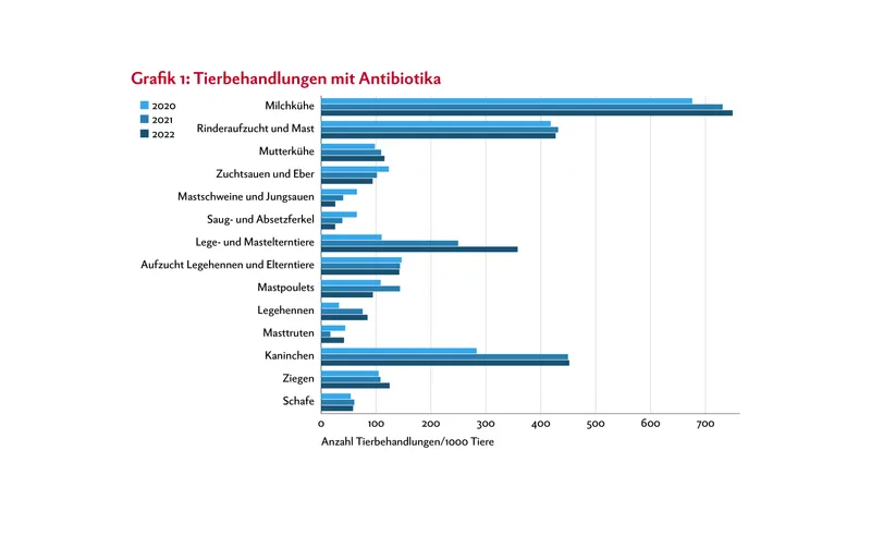 Balkendiagramm zeigt die Anzahl Tierbehandlungen mit Antibiotika relativ zur Populationsgrösse der einzelnen Nutztier-Kategorien.