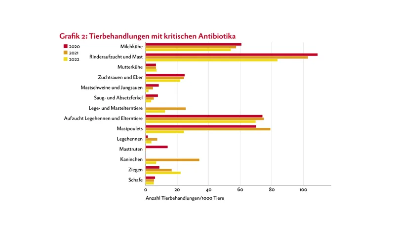 Balkendiagramm zeigt die Anzahl Tierbehandlungen mit kritischen Antibiotika relativ zur Populationsgrösse der einzelnen Nutztier-Kategorien.