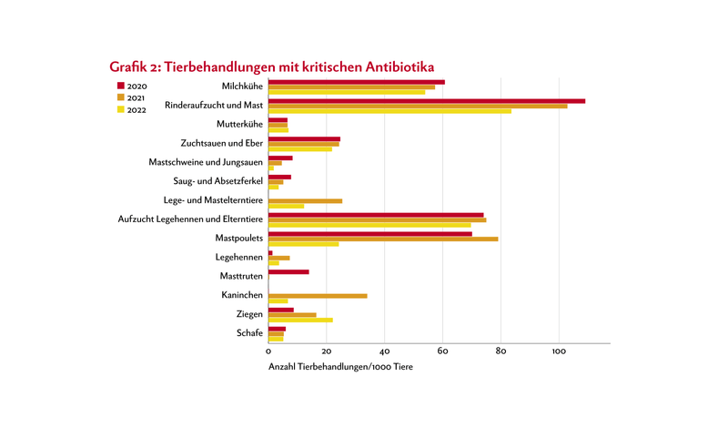 Balkendiagramm zeigt die Anzahl Tierbehandlungen mit kritischen Antibiotika relativ zur Populationsgrösse der einzelnen Nutztier-Kategorien.