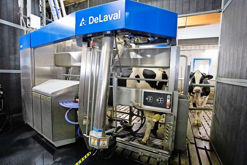 Das «Flaggschiff» von DeLaval, ein VMS 310. Vier Stück stehen im neu erbauten Stall der Hamra Farm.