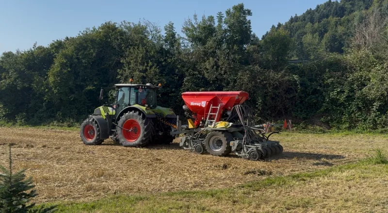 Junge setzen auf Konservierende Landwirtschaft: Drei Landwirte erzählen von ihrem Weg
