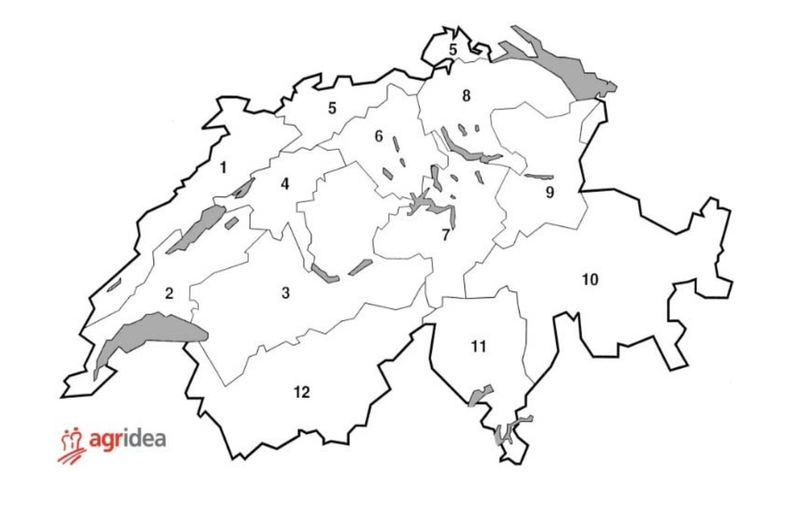 Viel Sonnenschein und wenig Niederschlag sorgten für gutes Grundfutter