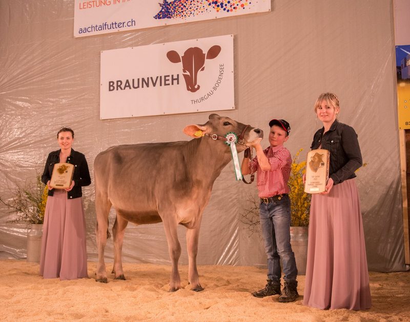 Holzhof's Bender Valencia gewinnt die 22. Top Show