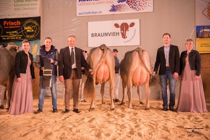 Holzhof's Bender Valencia gewinnt die 22. Top Show