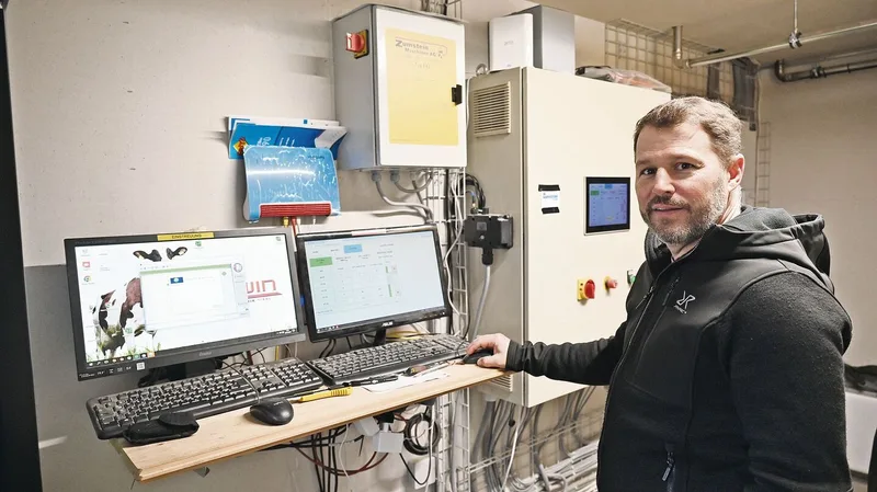 Die Technik macht vieles einfacher. Der Stall ist mit einer automatischen Fütterung und Einstreuung ausgerüstet.
