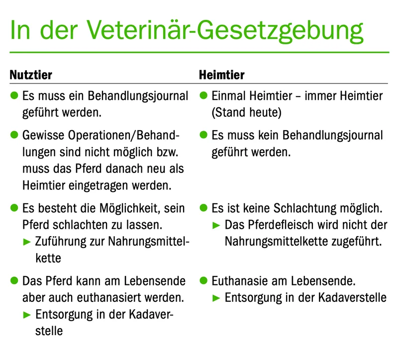 Erstmals mehr Heimtiere als Nutztiere