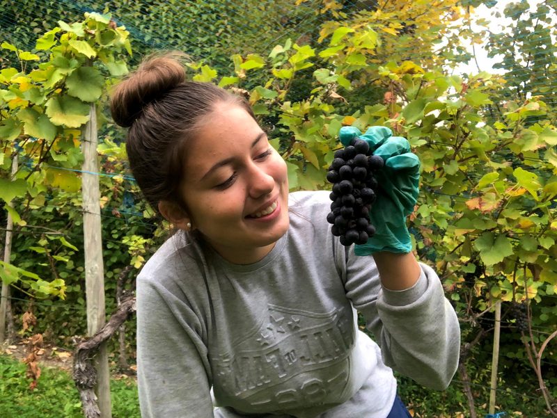 Wein und Gesang: Vanessa Capo lernt Winzerin und träumt von einer Musikkarriere