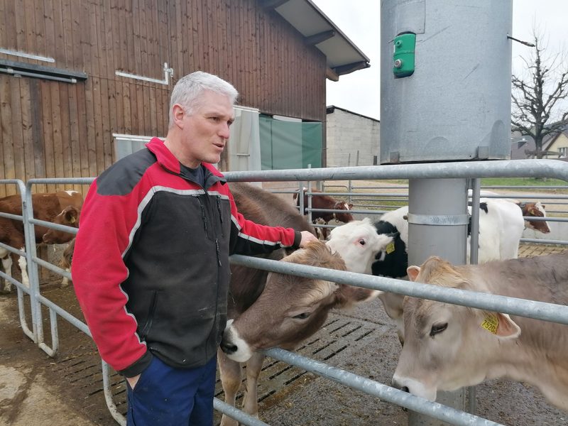 Stephan Plattner zieht Rinder auf und füttert sie intensiv – die Plätze sind begehrt