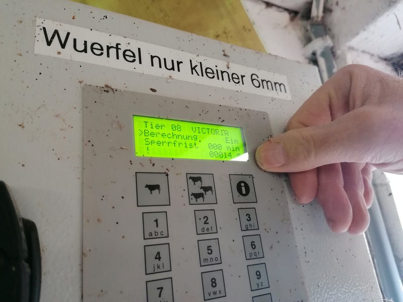 Stephan Plattner zieht Rinder auf und füttert sie intensiv – die Plätze sind begehrt