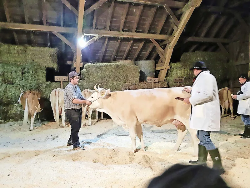 Eine robuste Bergkuh zu haben, ist dem Ehepaar Wüthrich wichtig