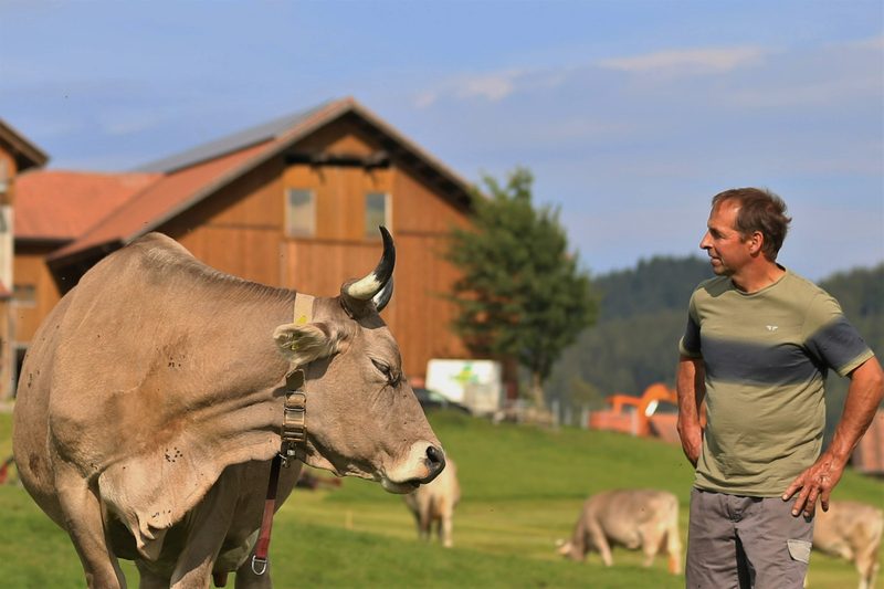 Familie Kälin setzt auf Original Braunvieh – und das seit Generationen
