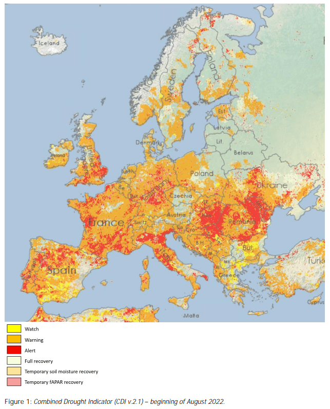 Fast die Hälfte Europas ist laut Experten von Dürre bedroht