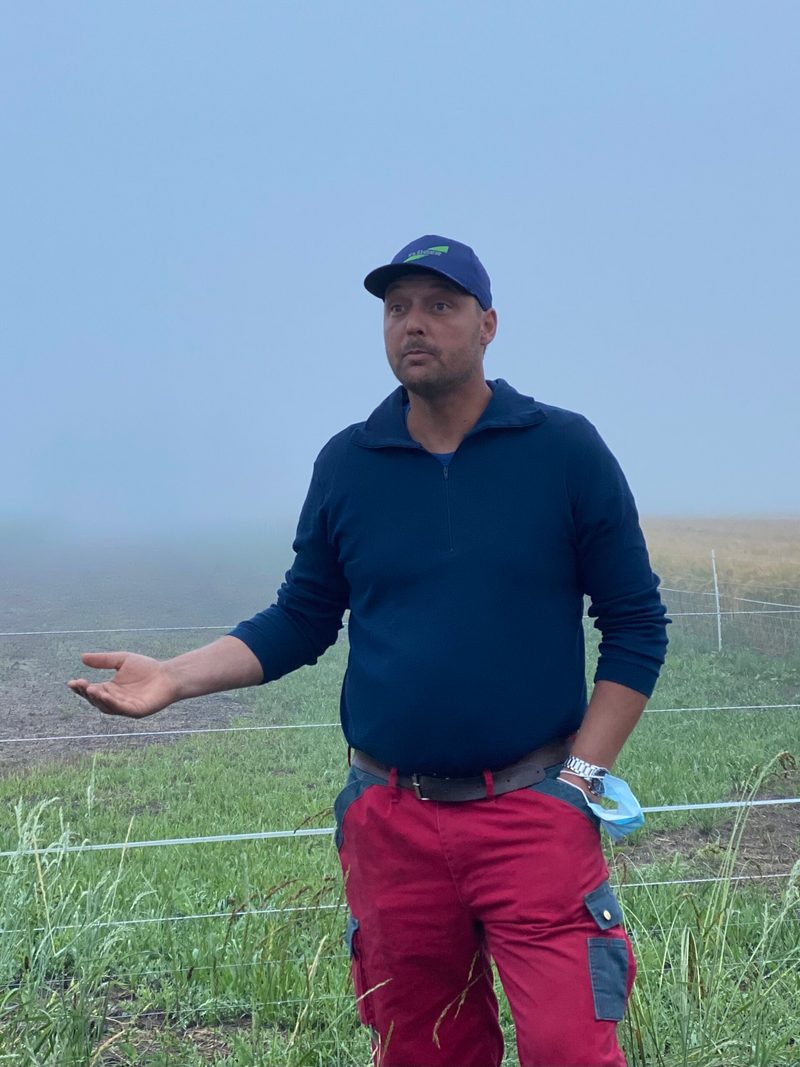 Nationalratspräsident besucht Kiebitze: «Das ist die Natur, keine Voliere»