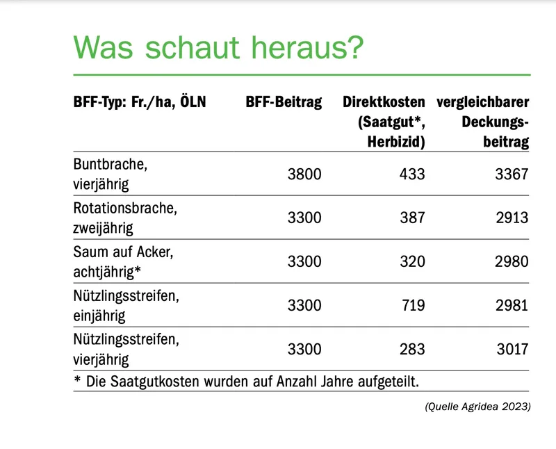 Saatgut für Saum und Brache: Nun verfügbar, aber teuer