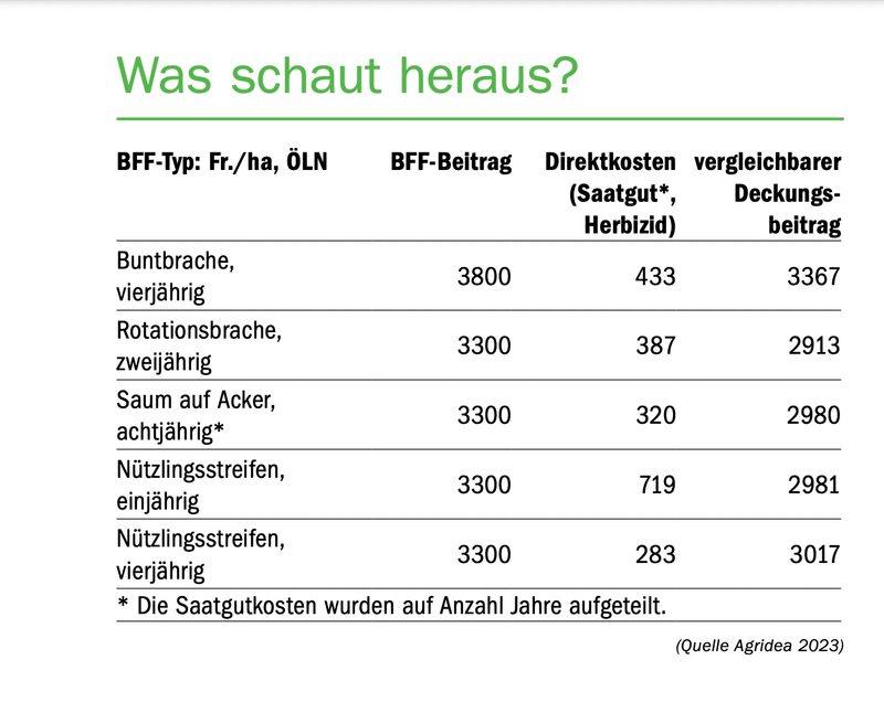 Saatgut für Saum und Brache: Nun verfügbar, aber teuer