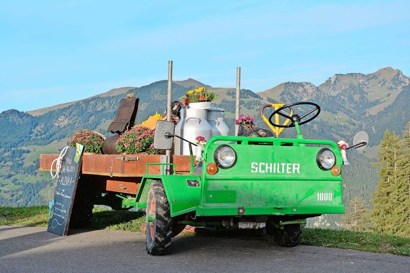 Der alte Schilter wi