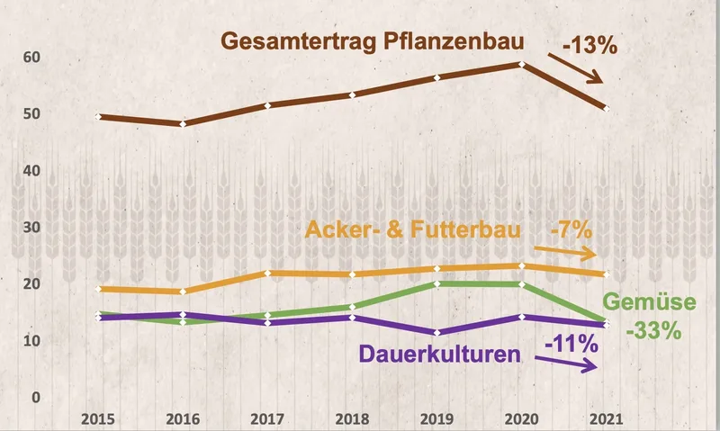 Trotz tiefer Verluste im Pflanzenbau blieb das Einkommen 2021 stabil