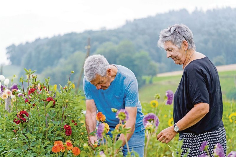 Zum Angebot gehört auch, dass die Kundinnen und Kunden selbst Blumen schneiden können.