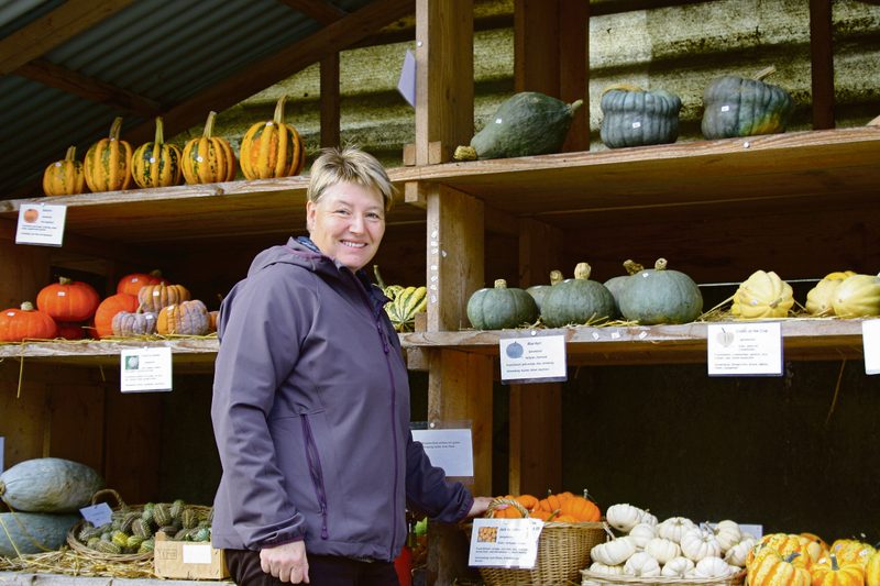 Therese Waldmann legt viel Wert auf eine attraktive Präsentation der Kürbisse. (Bild bma)