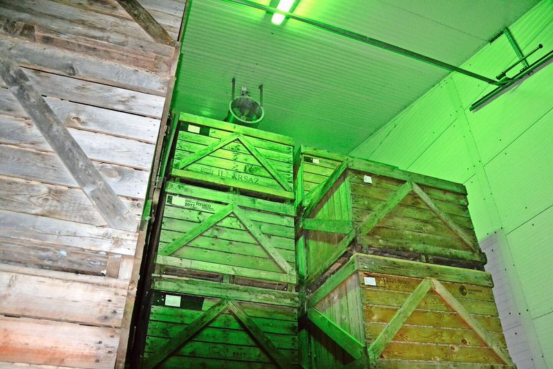 Das Kartoffel-Kühllager fasst maximal 600 Tonnen Knollen, der grösste Teil stammt jeweils vom Kunzhof selbst.