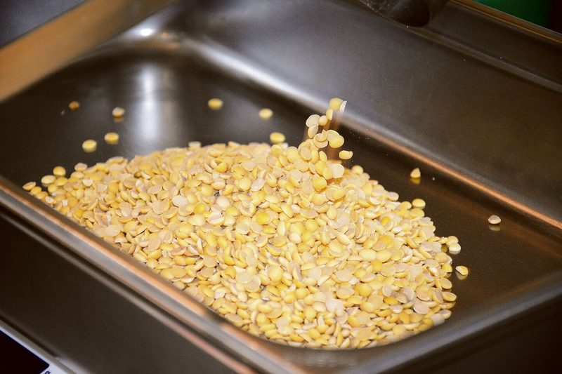 Tierische Produkte sind ungesund und umweltschädlich – falsch, sagt die Forschung