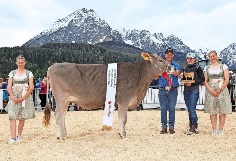 Den Rinder-Miss-Titel gewann auf dem grosszügigen Schauareal vor der Bergkulisse Peer’s O Malley Jeanette der Züchterin Gianna Martina Peer aus Ramosch.