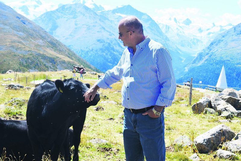 Angus-Kühe sind Gian Peter Nigglis Leidenschaft