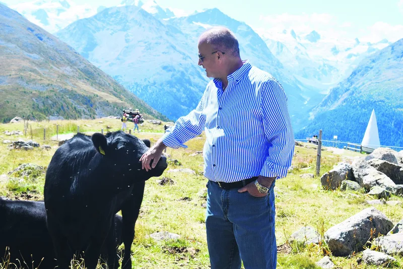 Angus-Kühe sind Gian Peter Nigglis Leidenschaft