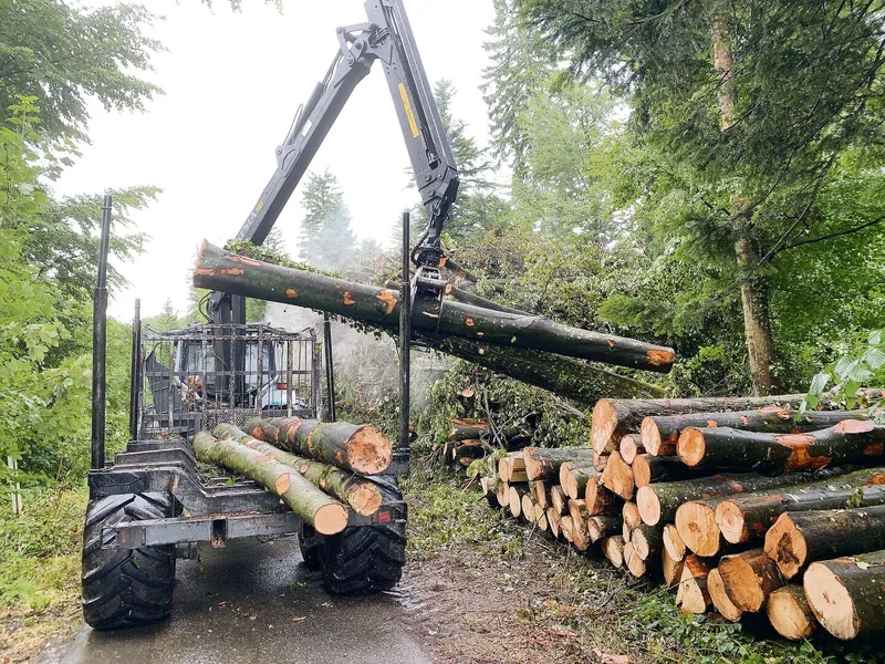 Kretz Forestry macht konventionelle Holzernteschläge, vor allem aber Spezialholzerei. Das Bild zeigt den Verlad von Stämmen.