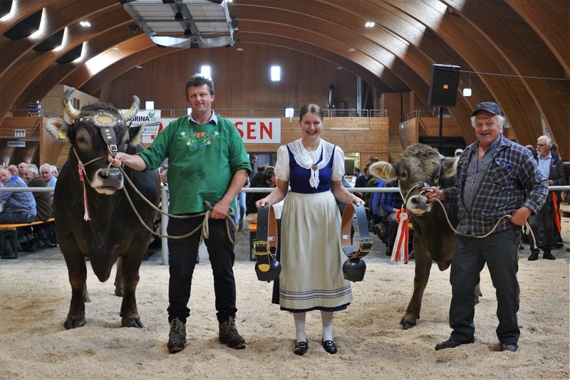 Stier Einar siegte in Wattwil schon zum fünften Mal