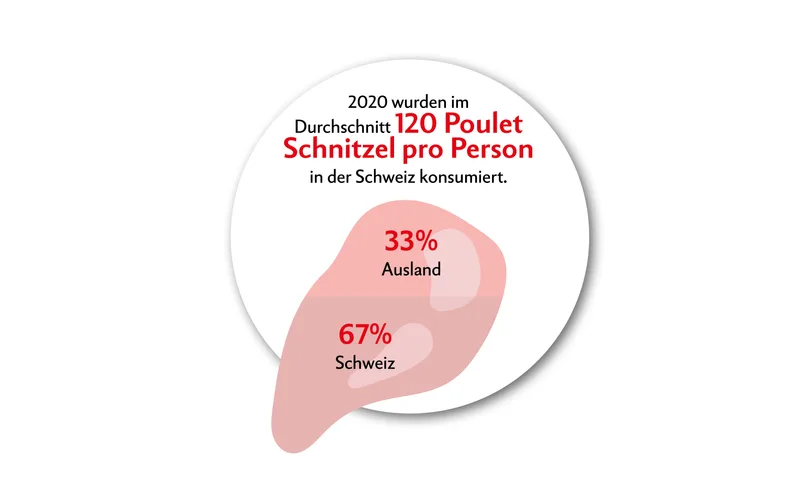 Da lachen ja die Hühner: 9 Fakten zum Geflügel
