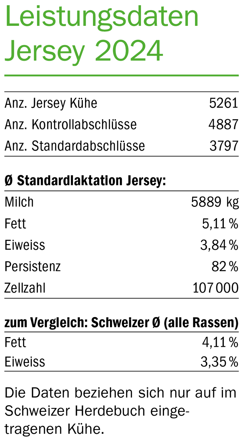 Swiss Jersey freut sich über die bevorstehende «Jersey National Show» in Burgdorf