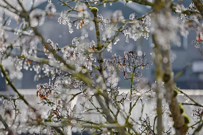 Manchmal zaubert wenig schönes Wetter umso schönere Sujets vor die Kamera.