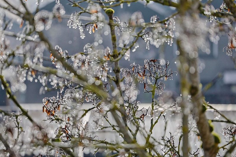 Manchmal zaubert wenig schönes Wetter umso schönere Sujets vor die Kamera.