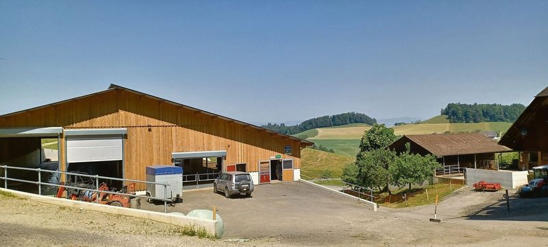 Eine Aussicht, die so manchen Hotelier neidisch macht: Rysers Tiere sehen auf die Emmentaler Hügel.