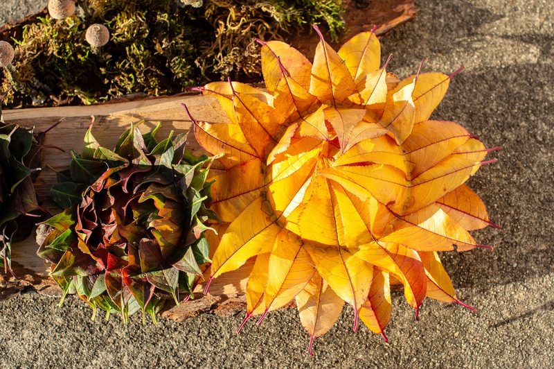 So lassen sich herbstliche Blüten aus bunten Blättern basteln