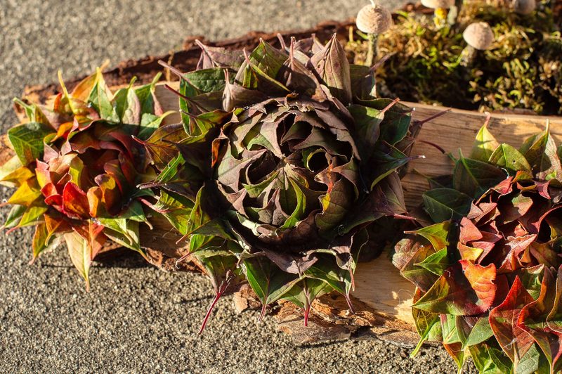 So lassen sich herbstliche Blüten aus bunten Blättern basteln
