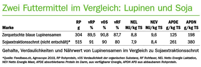Fütterung: Alternative zu Soja: Weshalb und wie?