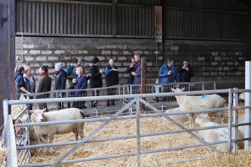 Das harte Los der britischen Farmer