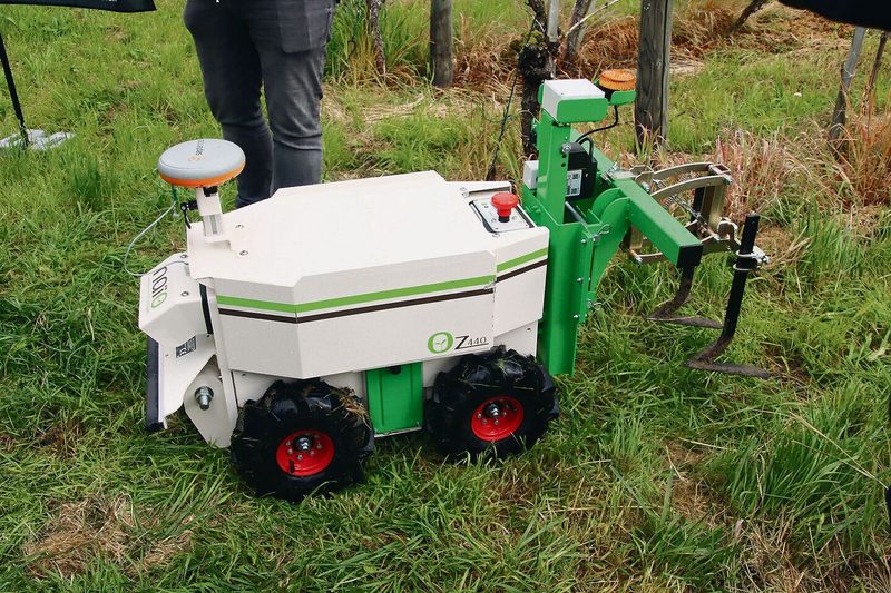 Auch im Rebberg kann man Kleinroboter wie den Naio OZ 440 einsetzen. Das plant die Kellerei am Stockarberg.