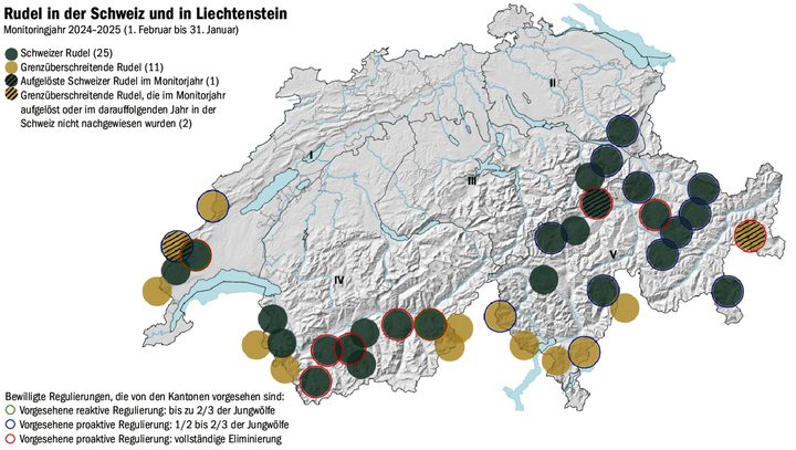Veränderte Wolfspolitik: Die präventive Regulierung soll das Zusammenleben mit dem Grossraubtier erleichtern.