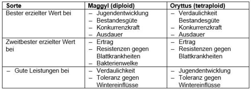 Italienisches Raigras: Zwei Neuzüchtungen übertreffen alle bisher empfohlenen Sorten