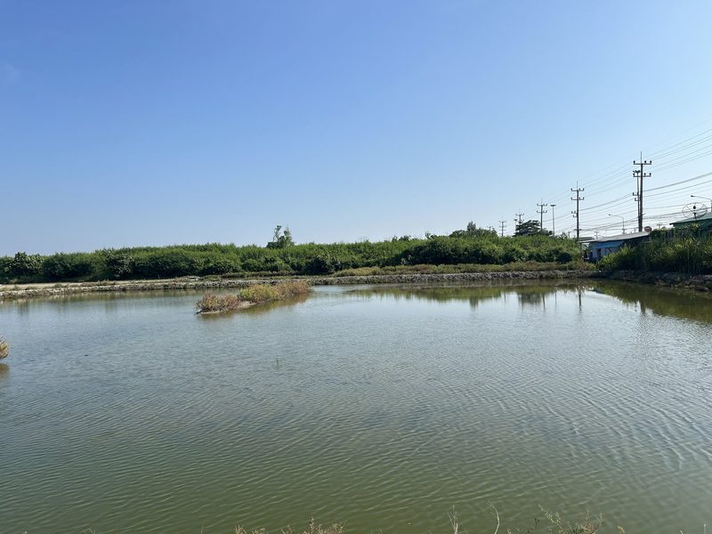 Thailand – Faszinierende Landwirtschaft in Asien